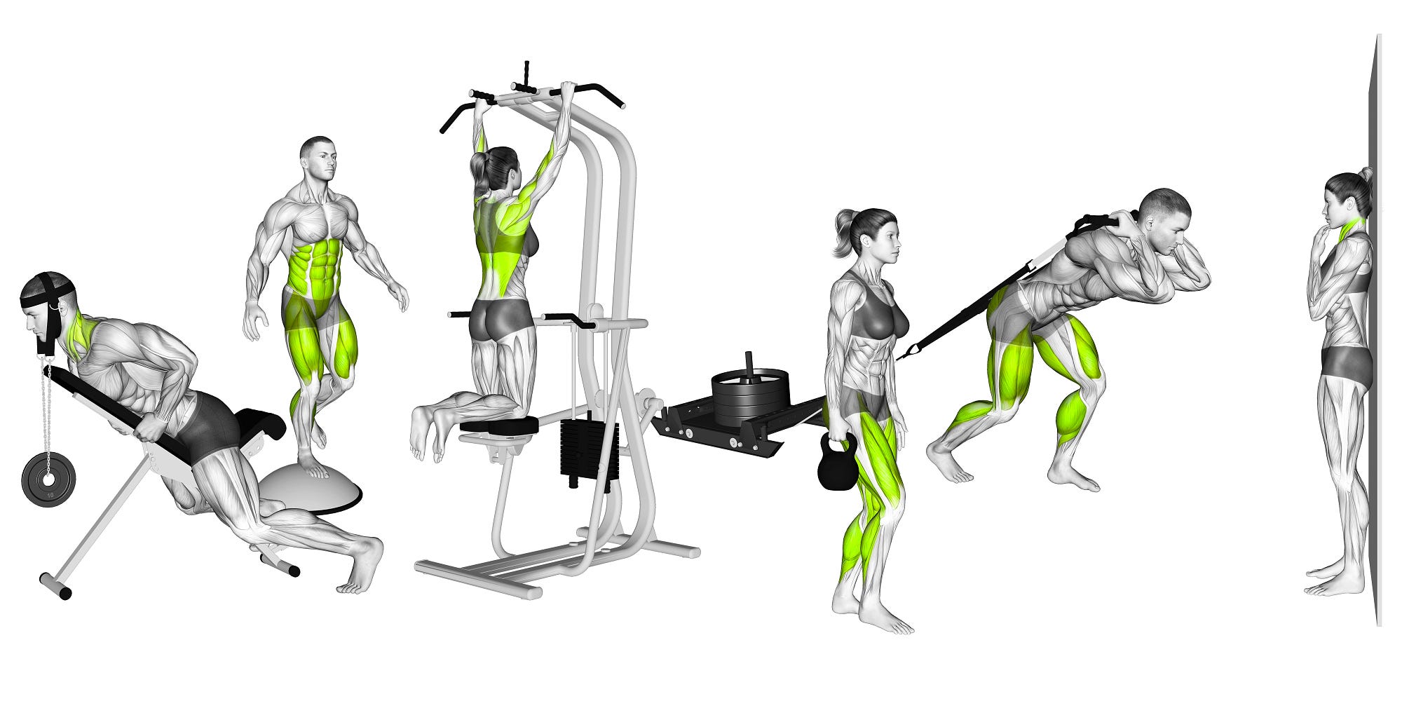 New exercises added to the SmartGym library